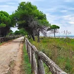 Bright Flat Next To The Beach - Beahost